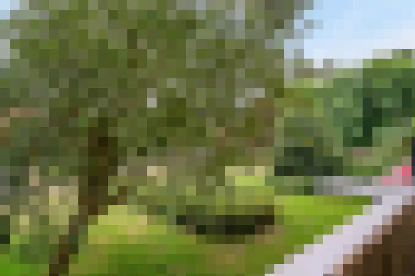 Ingen Houszstraat 79 Heemskerk thumbnail 25