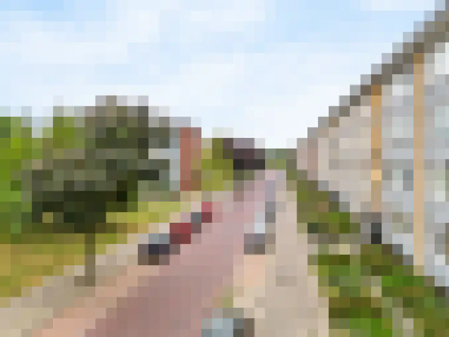 Ingen Houszstraat 79 Heemskerk thumbnail 31