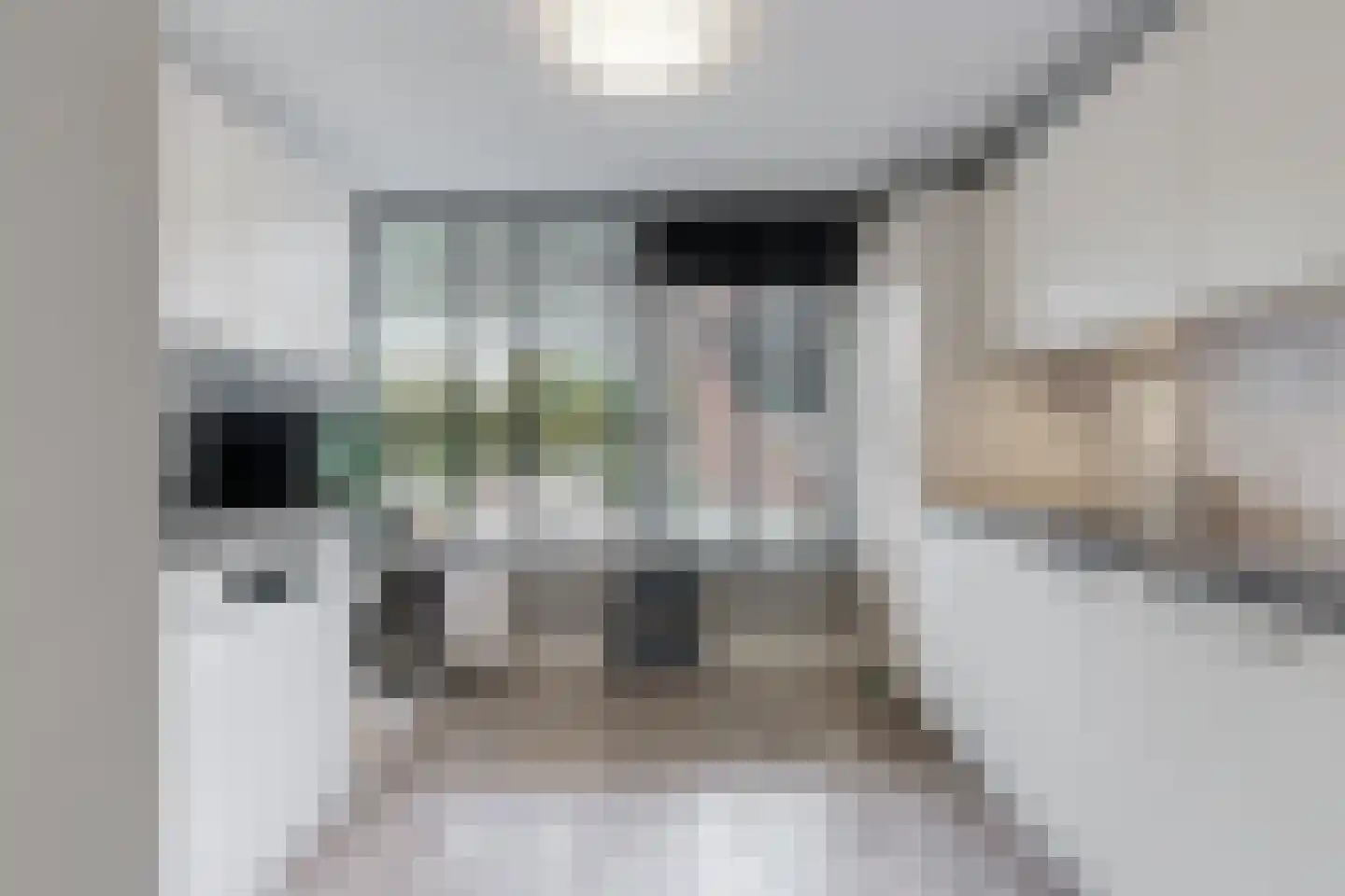 Ingen Houszstraat 79 Heemskerk thumbnail 5