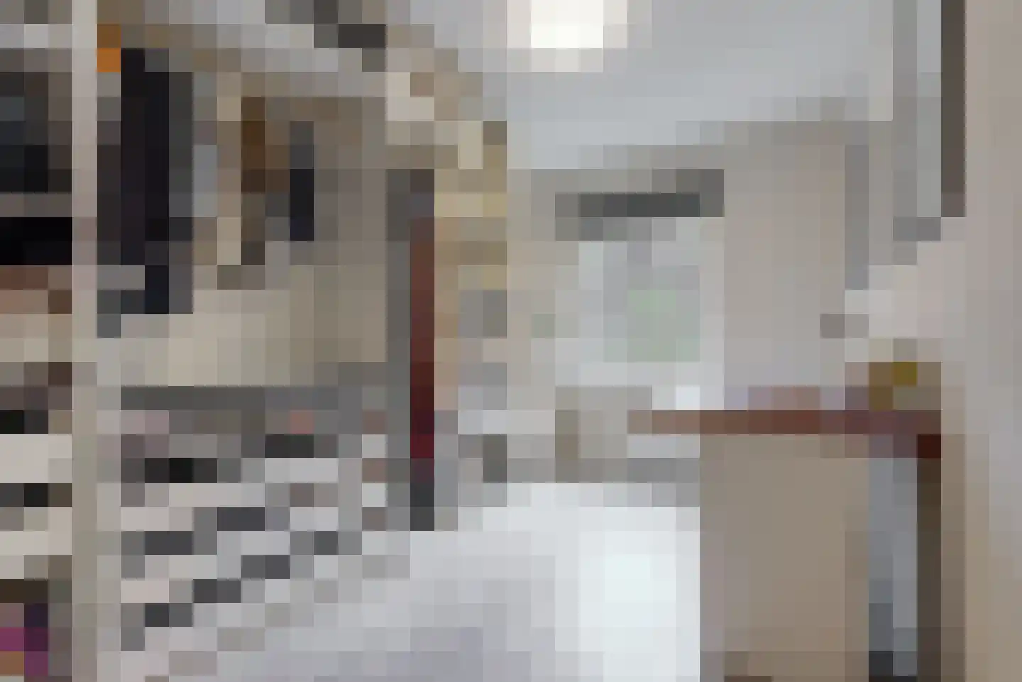 Ingen Houszstraat 79 Heemskerk thumbnail 6