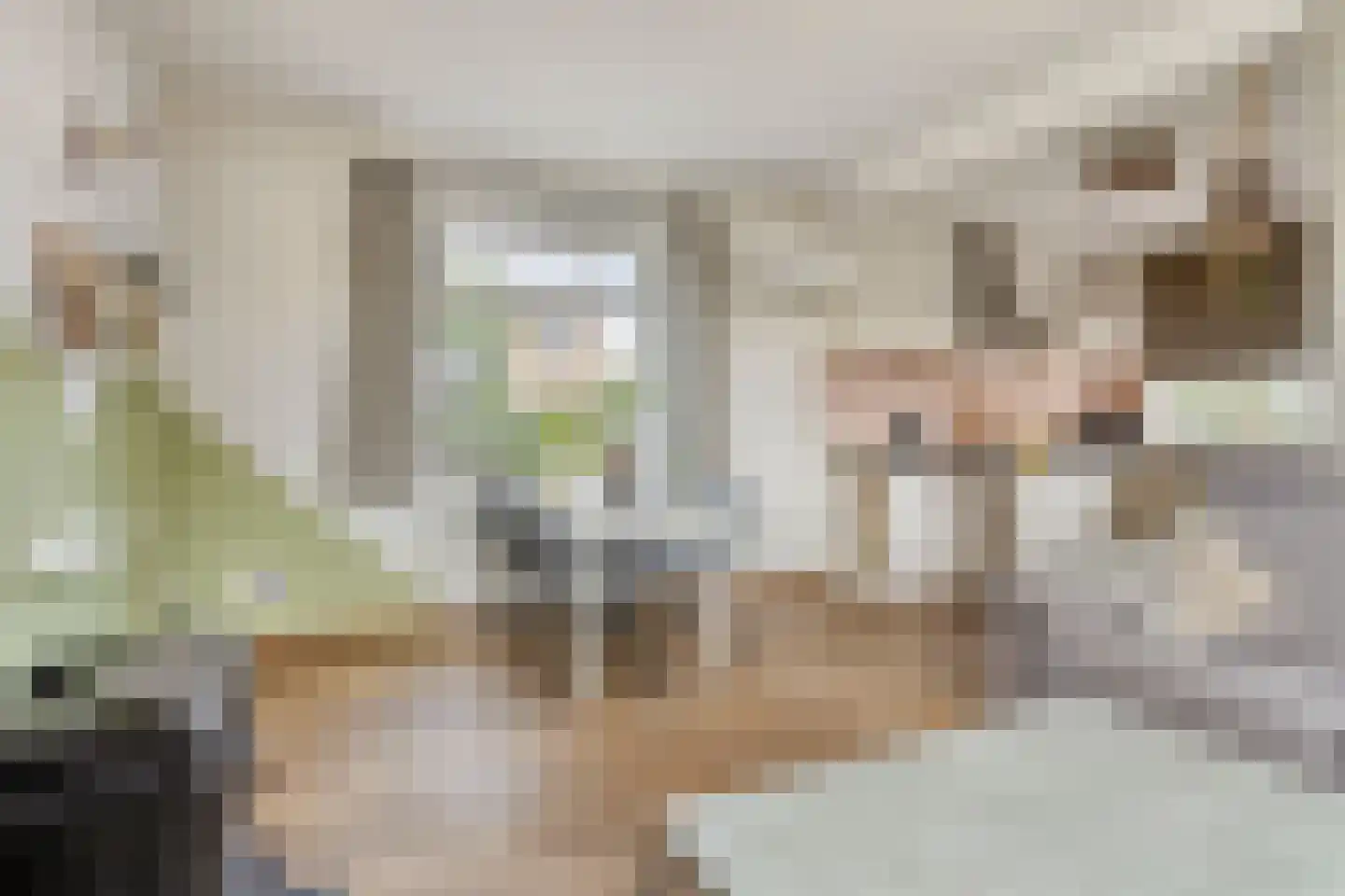 Ingen Nulandtstraat 9 Valburg thumbnail 11