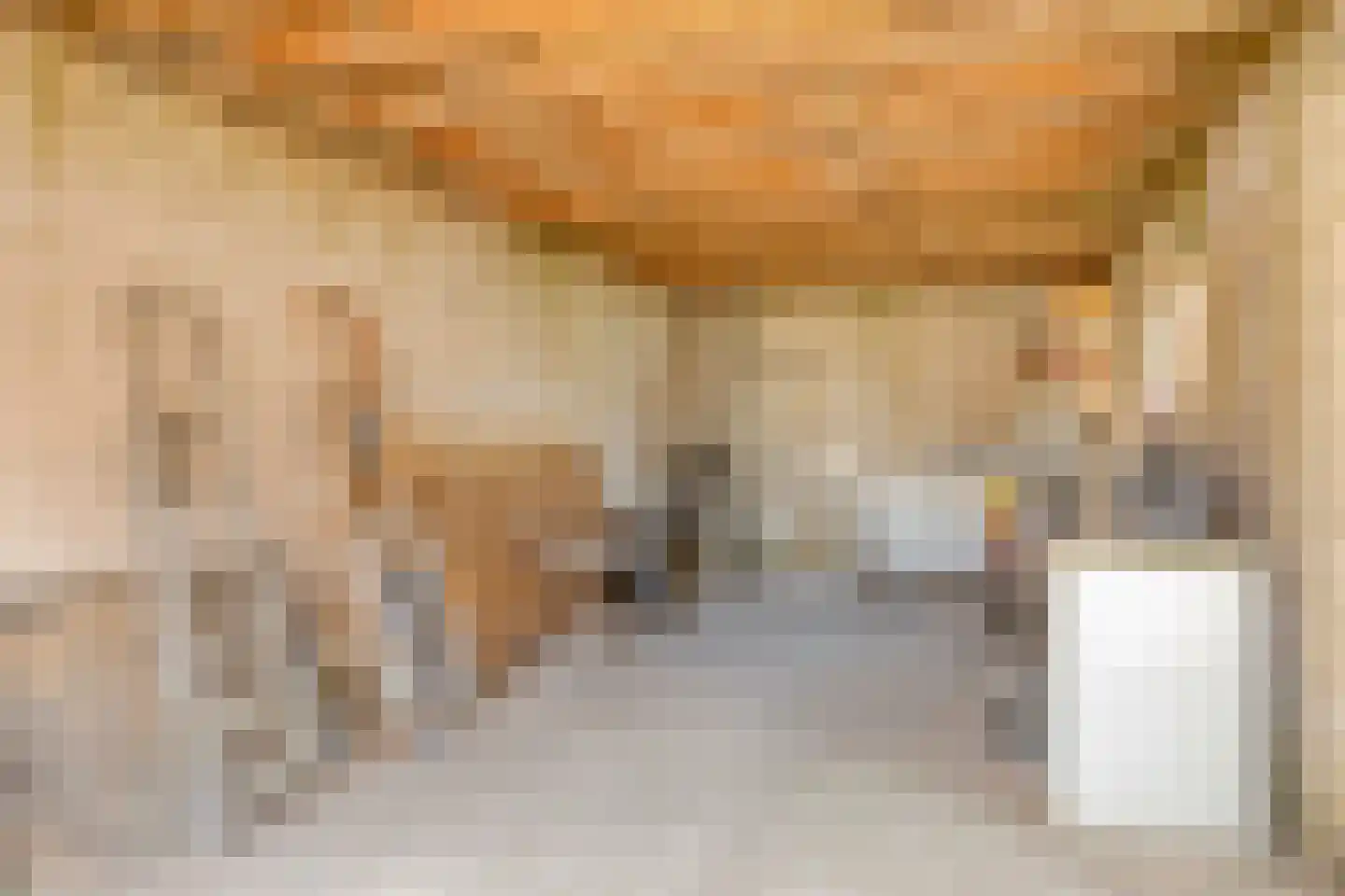Ingen Nulandtstraat 9 Valburg thumbnail 22