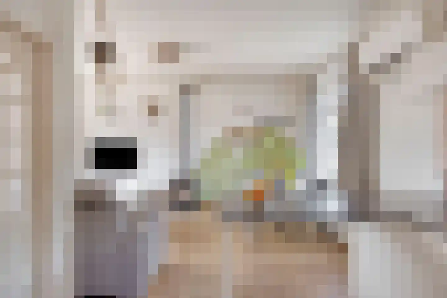 Ingen Nulandtstraat 9 Valburg thumbnail 8