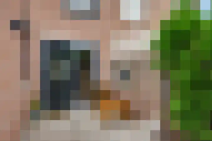 Ingendaalstraat 12 Bunde thumbnail 18