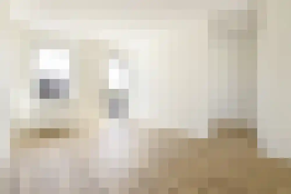 Ingenhouszhof 68 Amsterdam thumbnail 12
