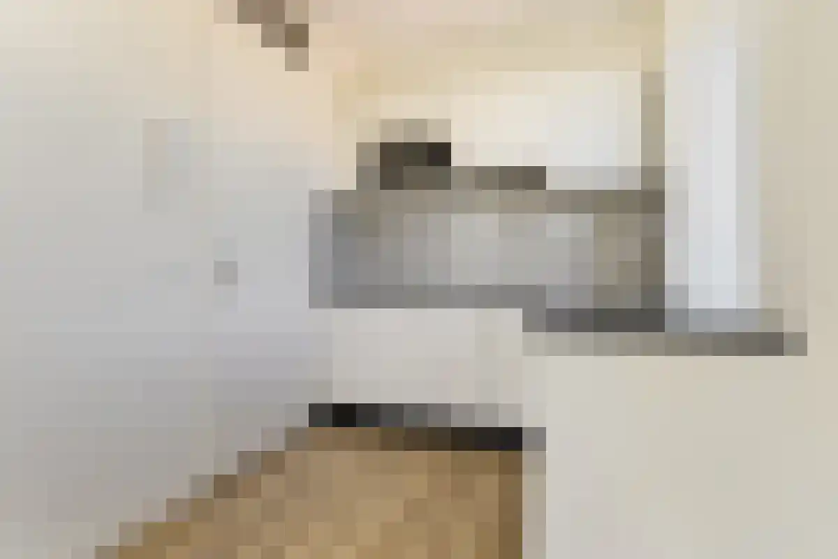 Ingenhouszhof 68 Amsterdam thumbnail 4