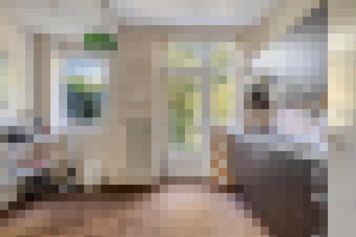 Ingenhouszlaan 6 Eindhoven thumbnail 18