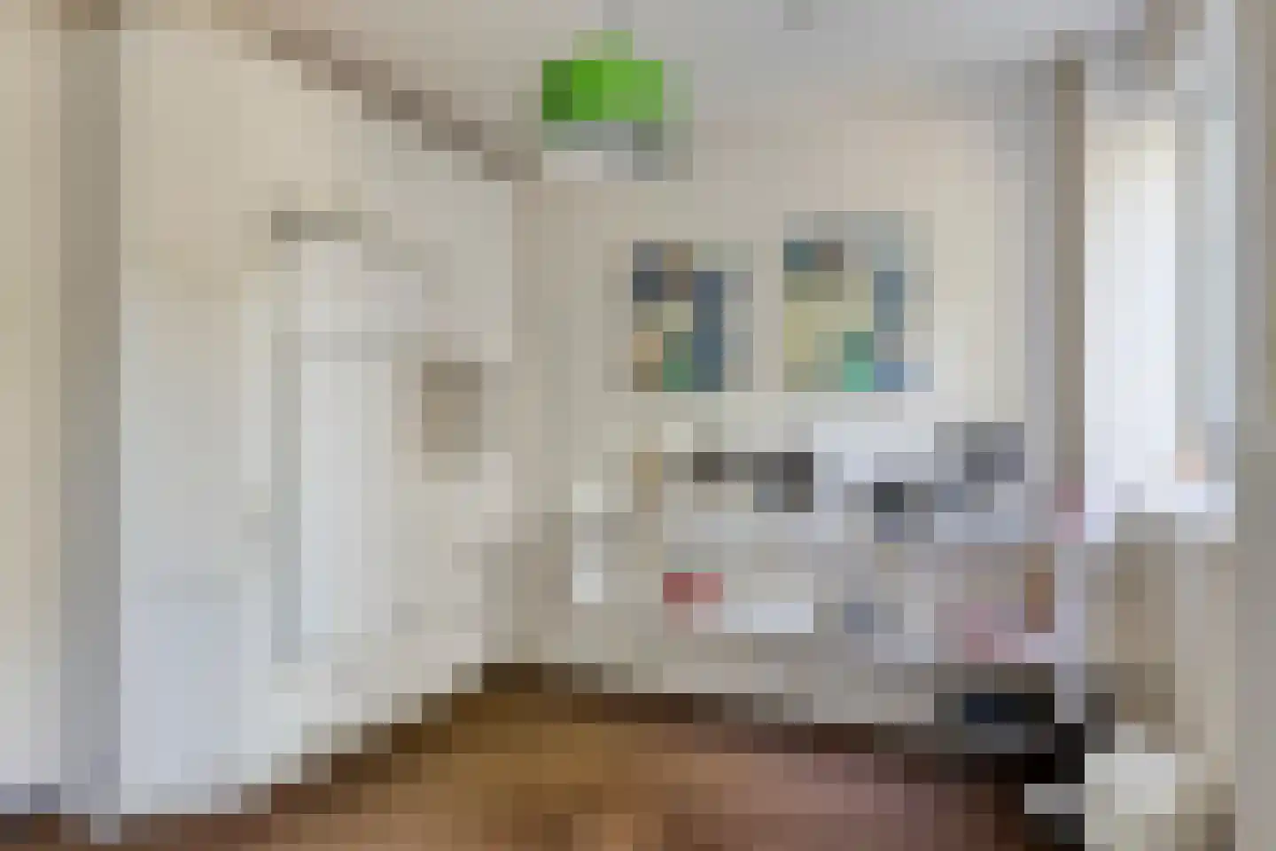 Ingenhouszlaan 6 Eindhoven thumbnail 20