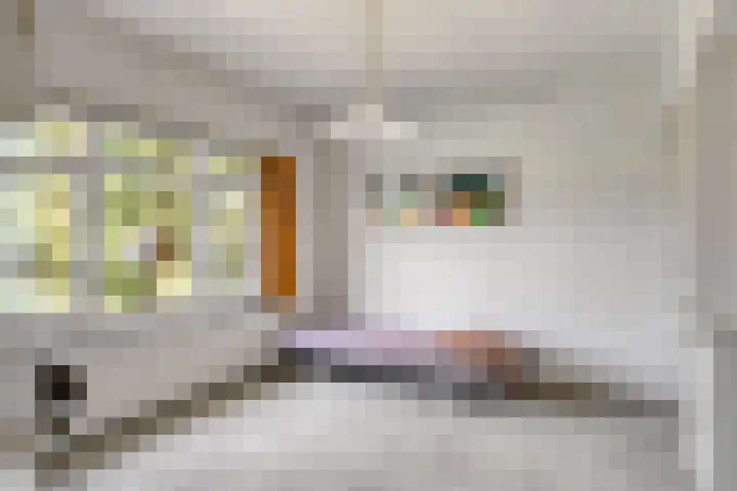 Ingenhouszlaan 6 Eindhoven thumbnail 26