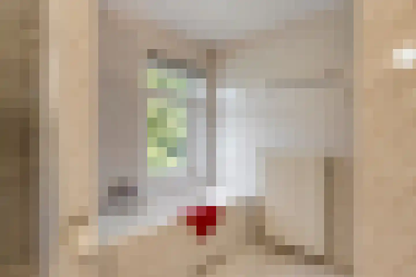 Ingenhouszlaan 6 Eindhoven thumbnail 29