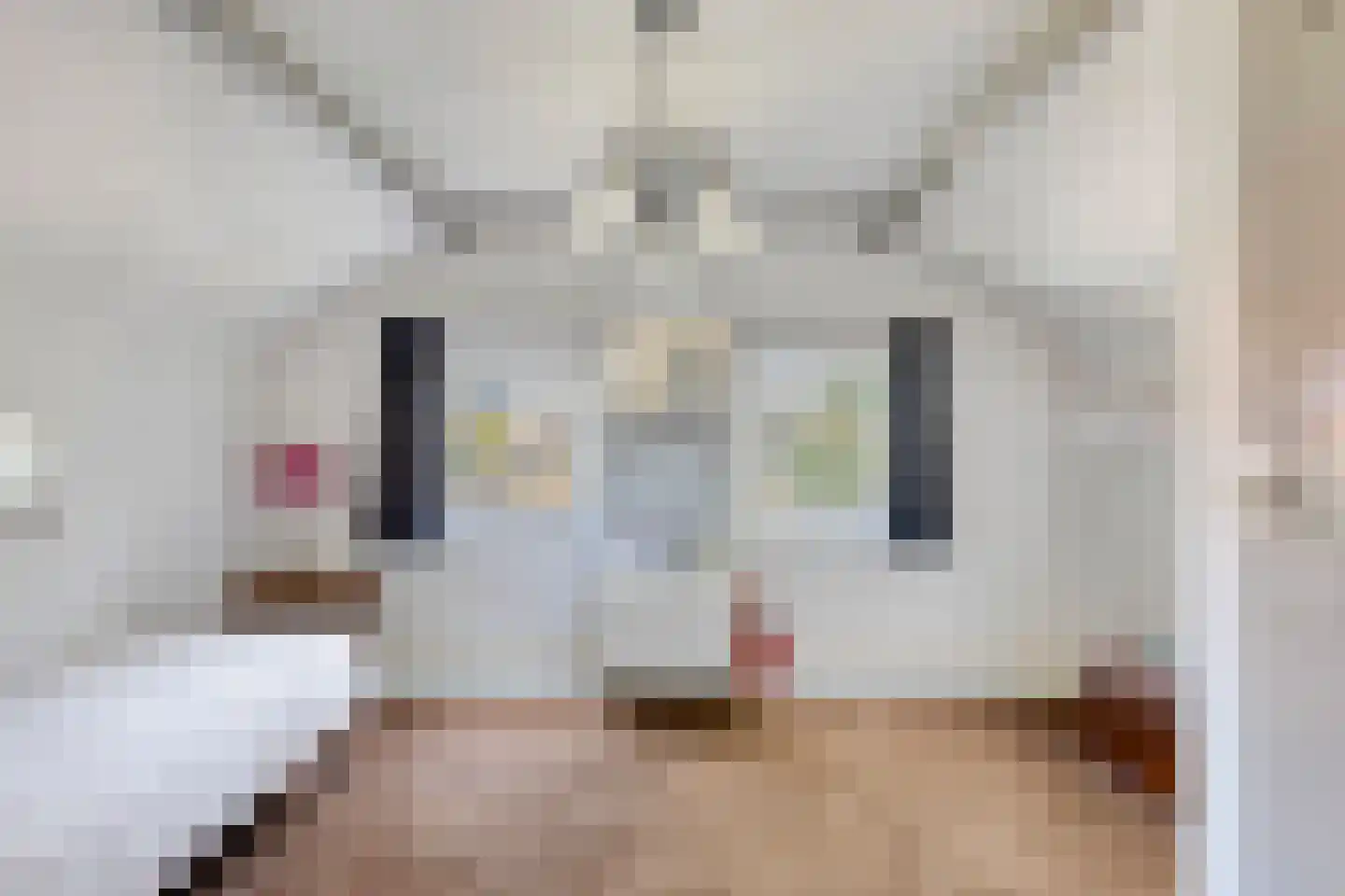 Ingenhouszlaan 6 Eindhoven thumbnail 33