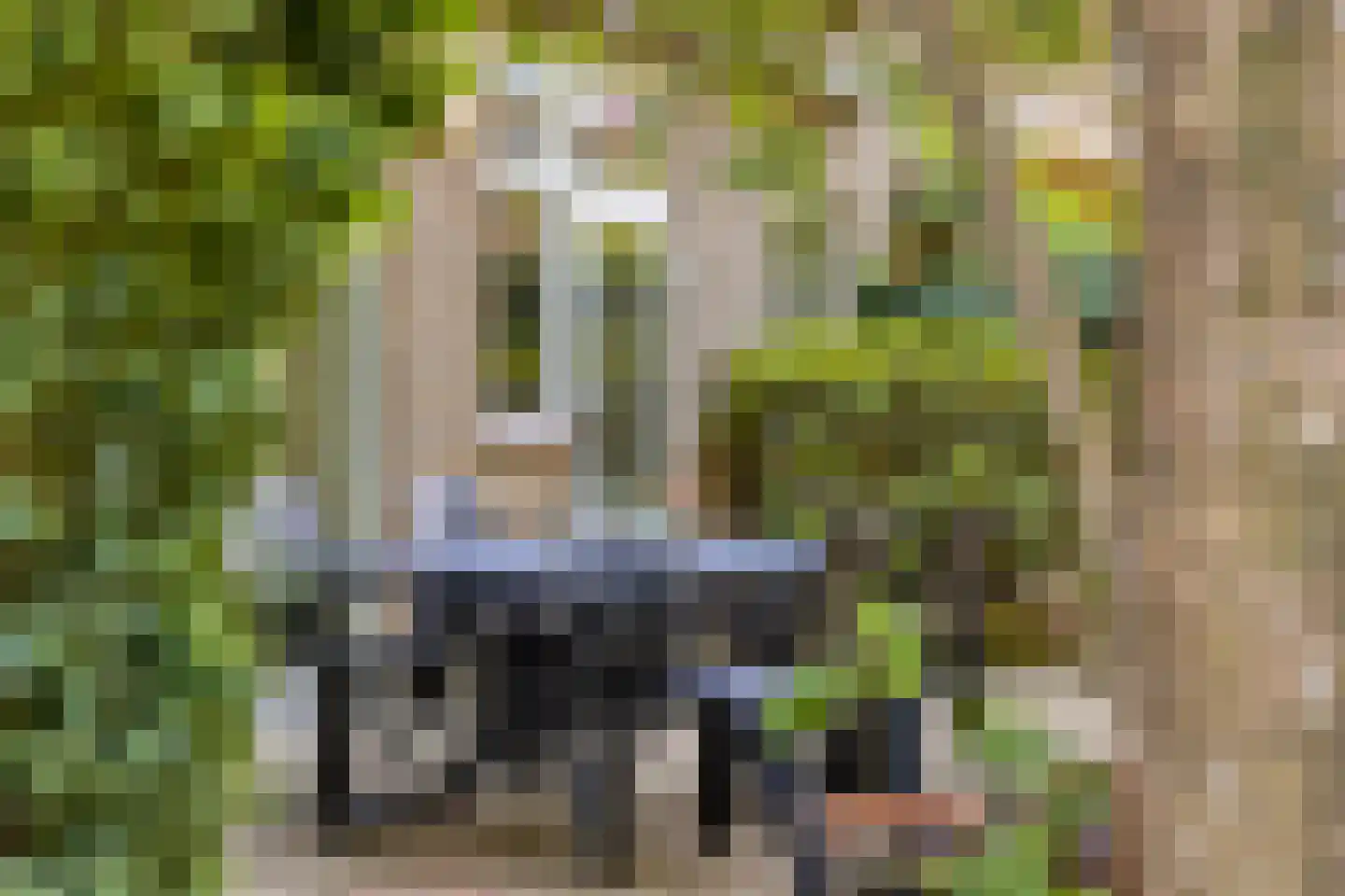 Ingenhouszlaan 6 Eindhoven thumbnail 39