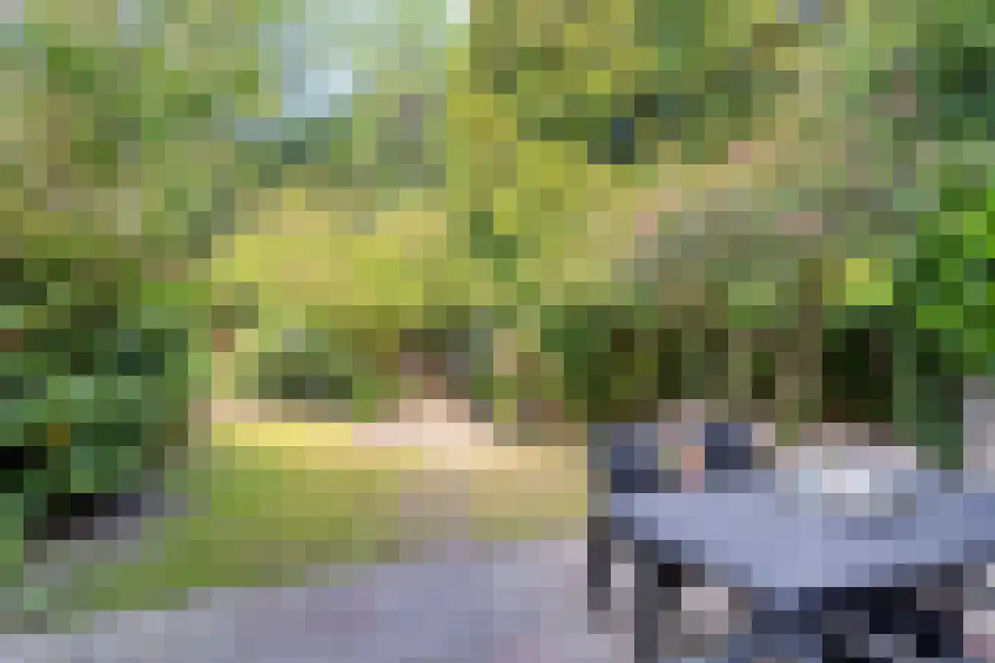 Ingenhouszlaan 6 Eindhoven thumbnail 42
