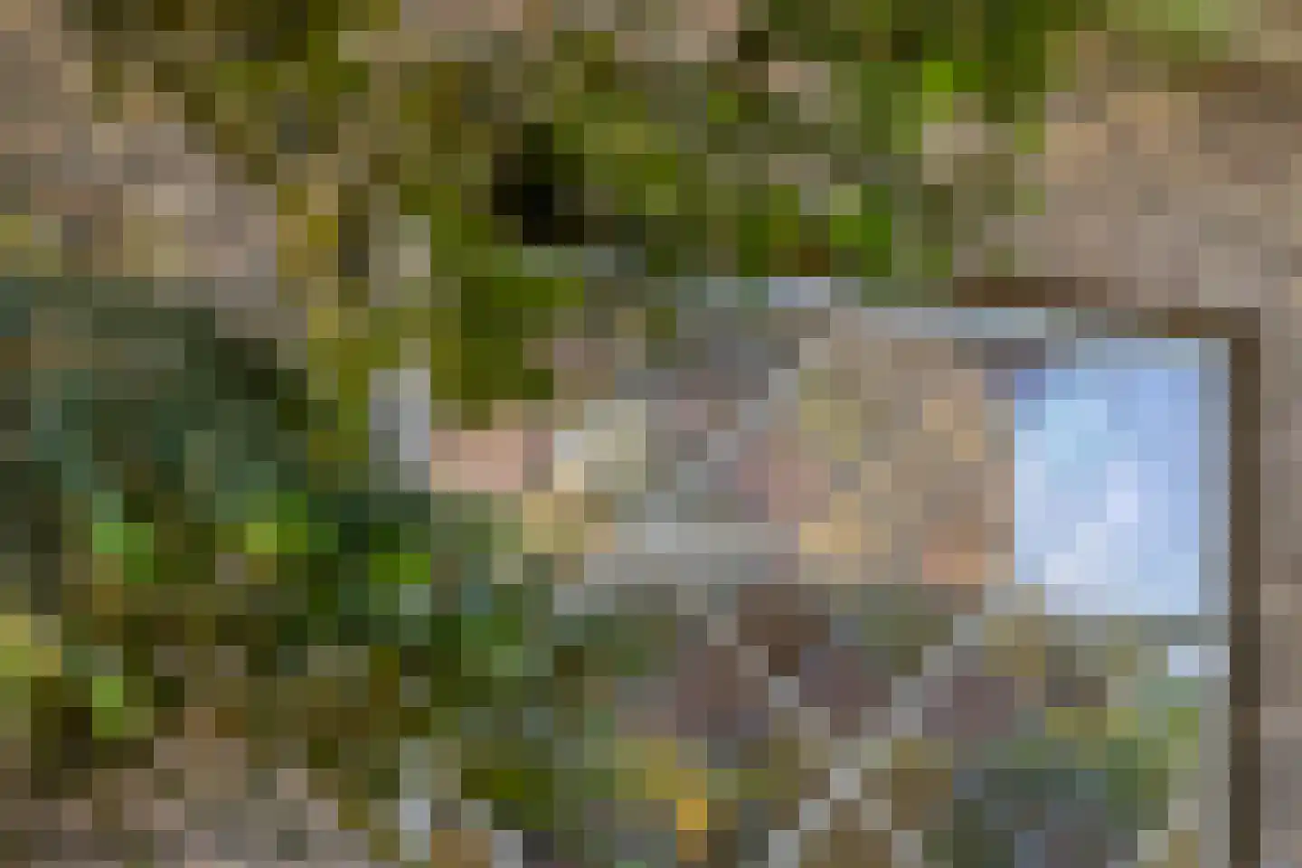 Ingenhouszlaan 6 Eindhoven thumbnail 43