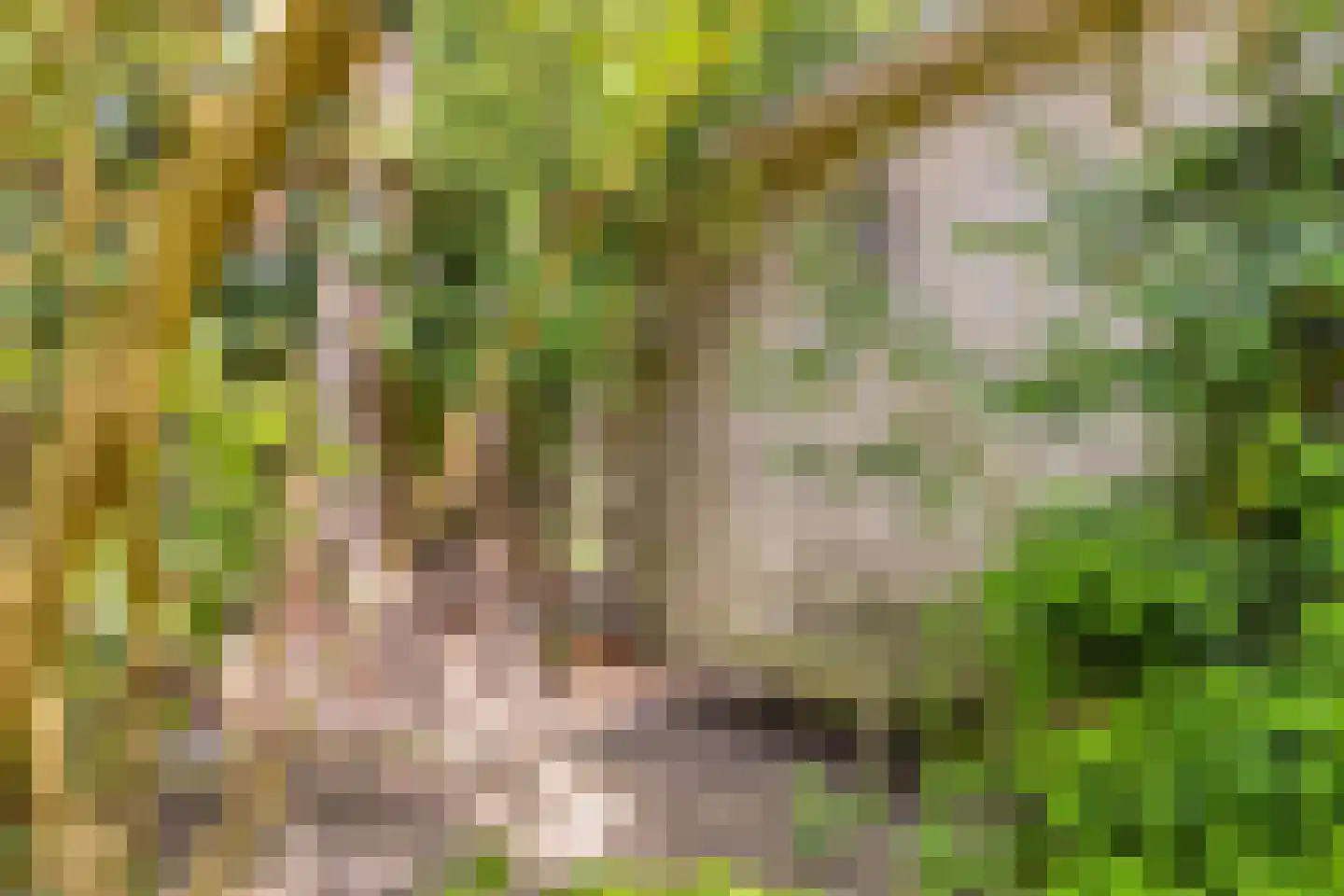 Ingenhouszlaan 6 Eindhoven thumbnail 44