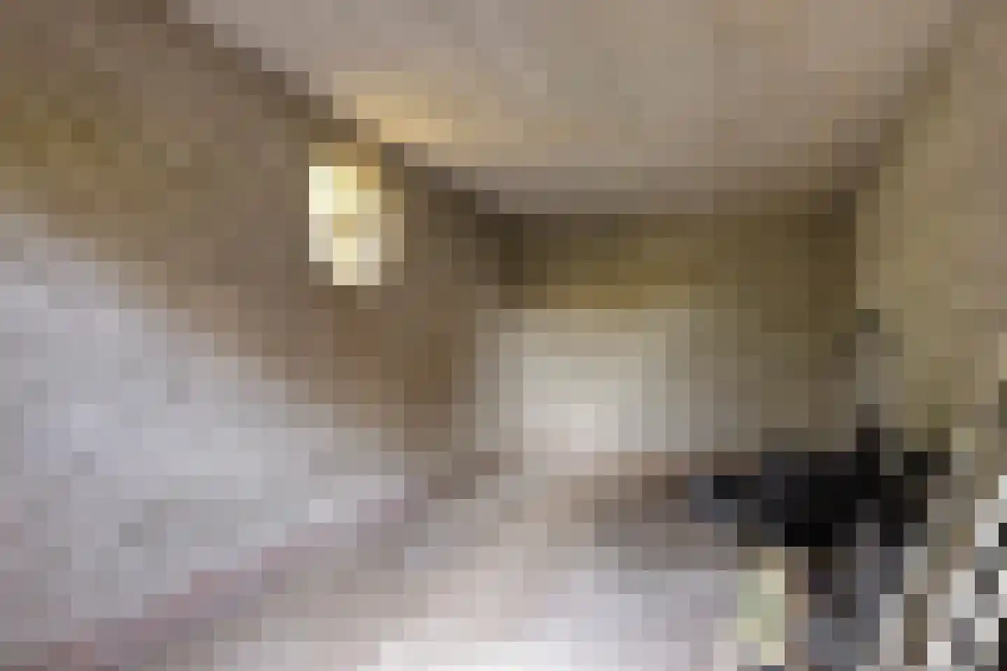 Ingenhouszlaan 6 Eindhoven thumbnail 45