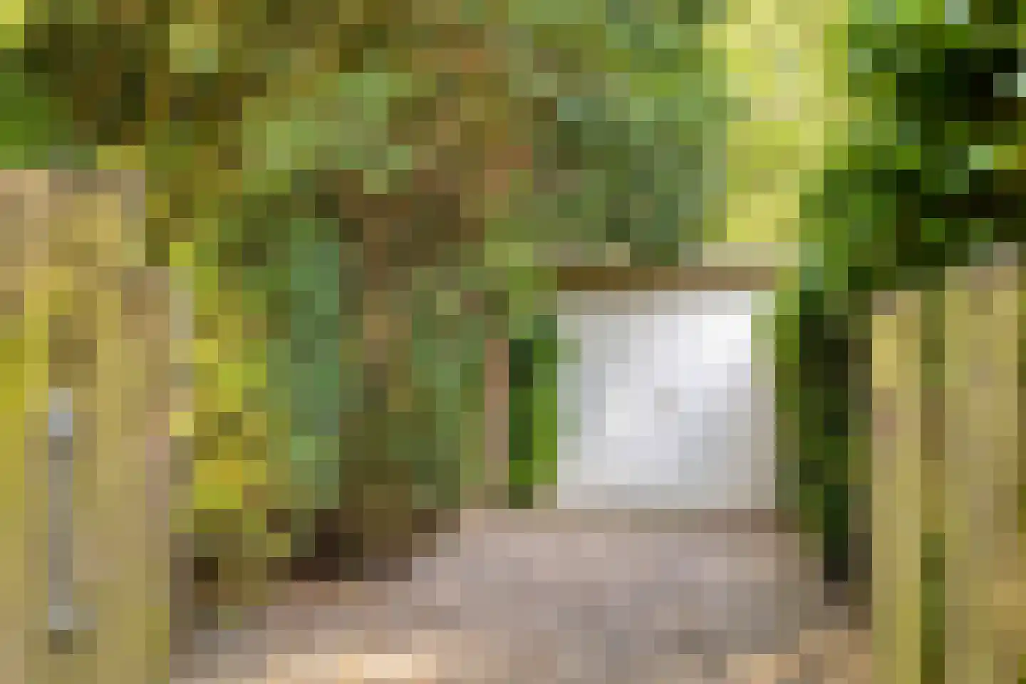 Ingenhouszlaan 6 Eindhoven thumbnail 46