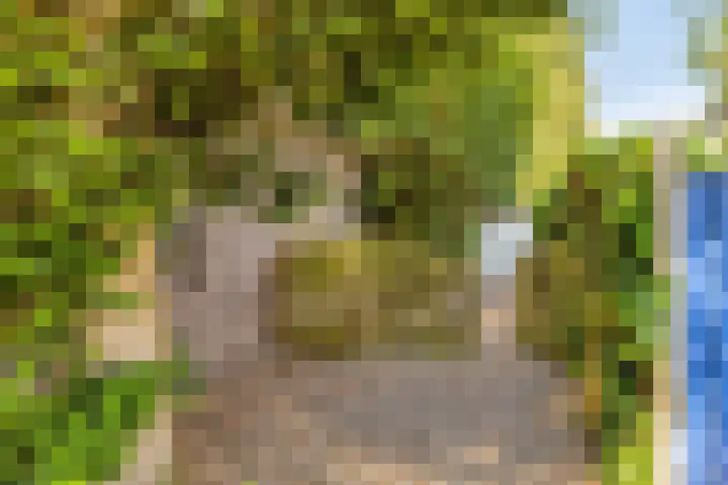 Ingenhouszlaan 6 Eindhoven thumbnail 47