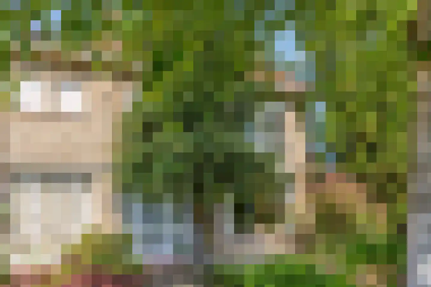Ingenhouszlaan 6 Eindhoven thumbnail 48