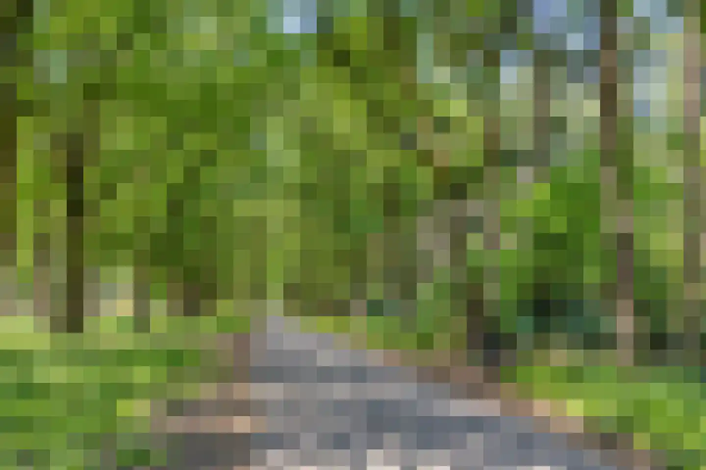 Ingenhouszlaan 6 Eindhoven thumbnail 52