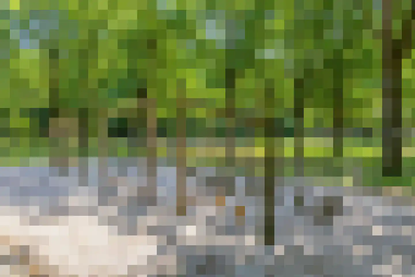Ingenhouszlaan 6 Eindhoven thumbnail 53