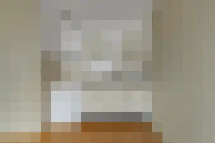 Ingenhouszstraat 1 Den Haag thumbnail 10