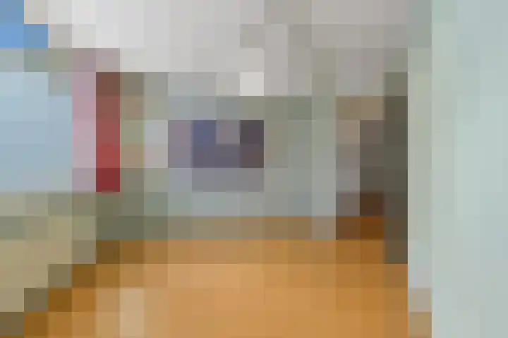 Ingenhouszstraat 1 Den Haag thumbnail 13