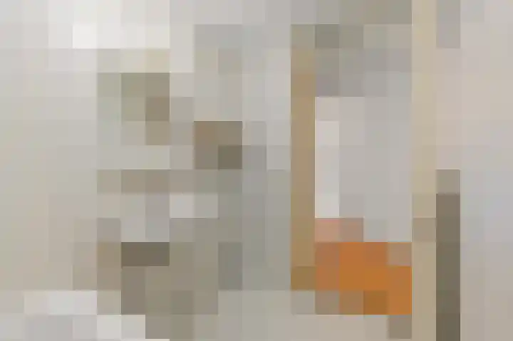 Ingenhouszstraat 1 Den Haag thumbnail 18