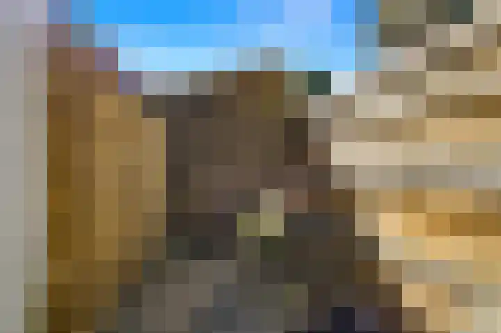 Ingenhouszstraat 1 Den Haag thumbnail 23