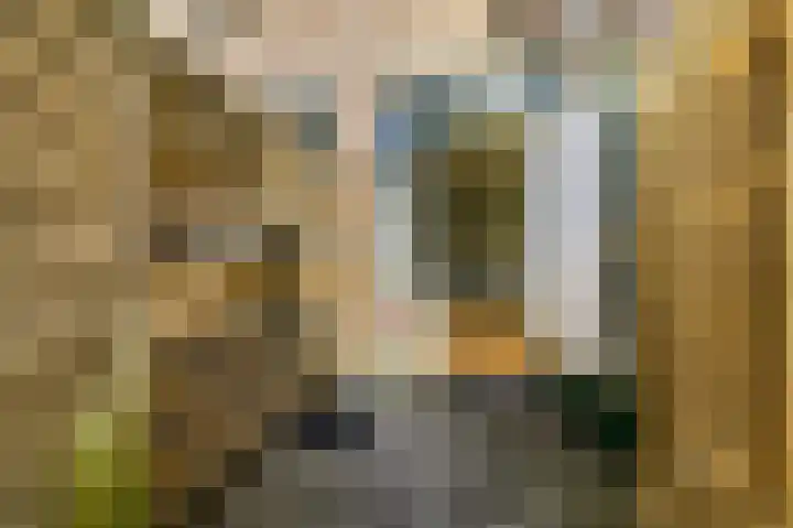 Ingenhouszstraat 1 Den Haag thumbnail 24