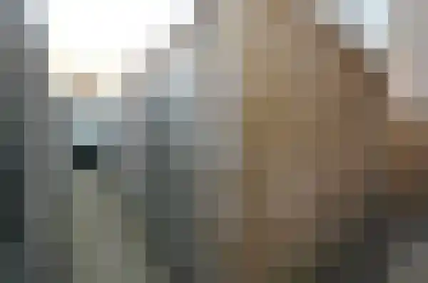 Ingenhouszstraat 1 Den Haag thumbnail 25