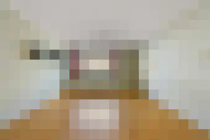 Ingenhouszstraat 1 Den Haag thumbnail 7