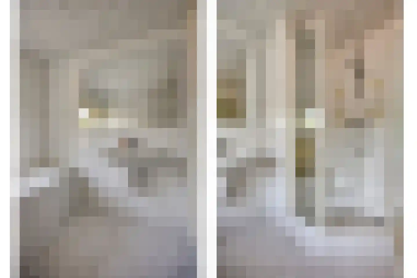 Ingenhouszstraat 12 Nijmegen thumbnail 12