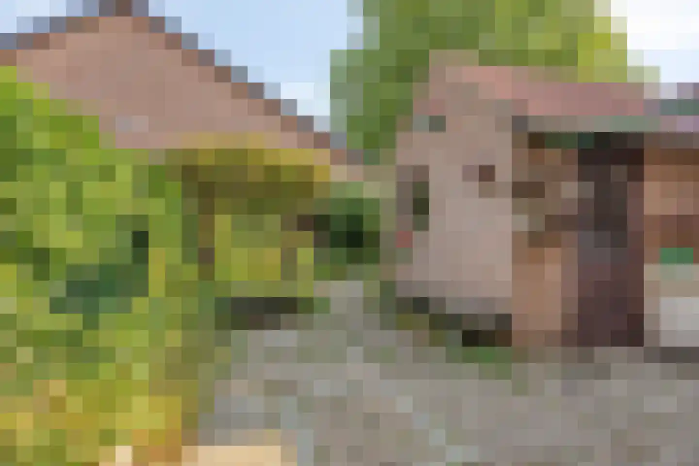 Ingenhouszstraat 12 Nijmegen thumbnail 24