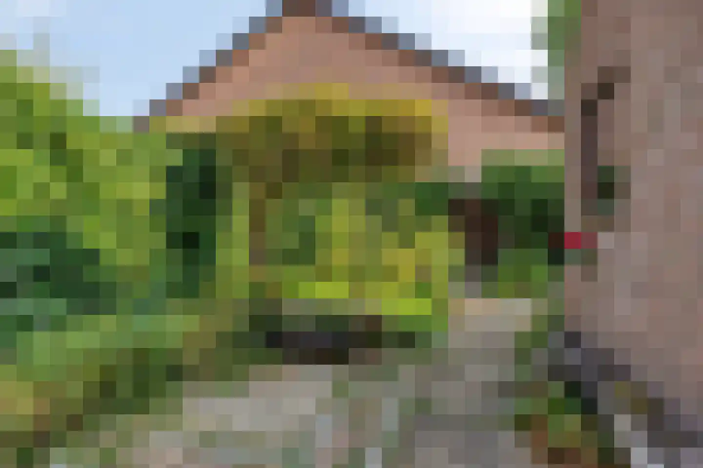 Ingenhouszstraat 12 Nijmegen thumbnail 26