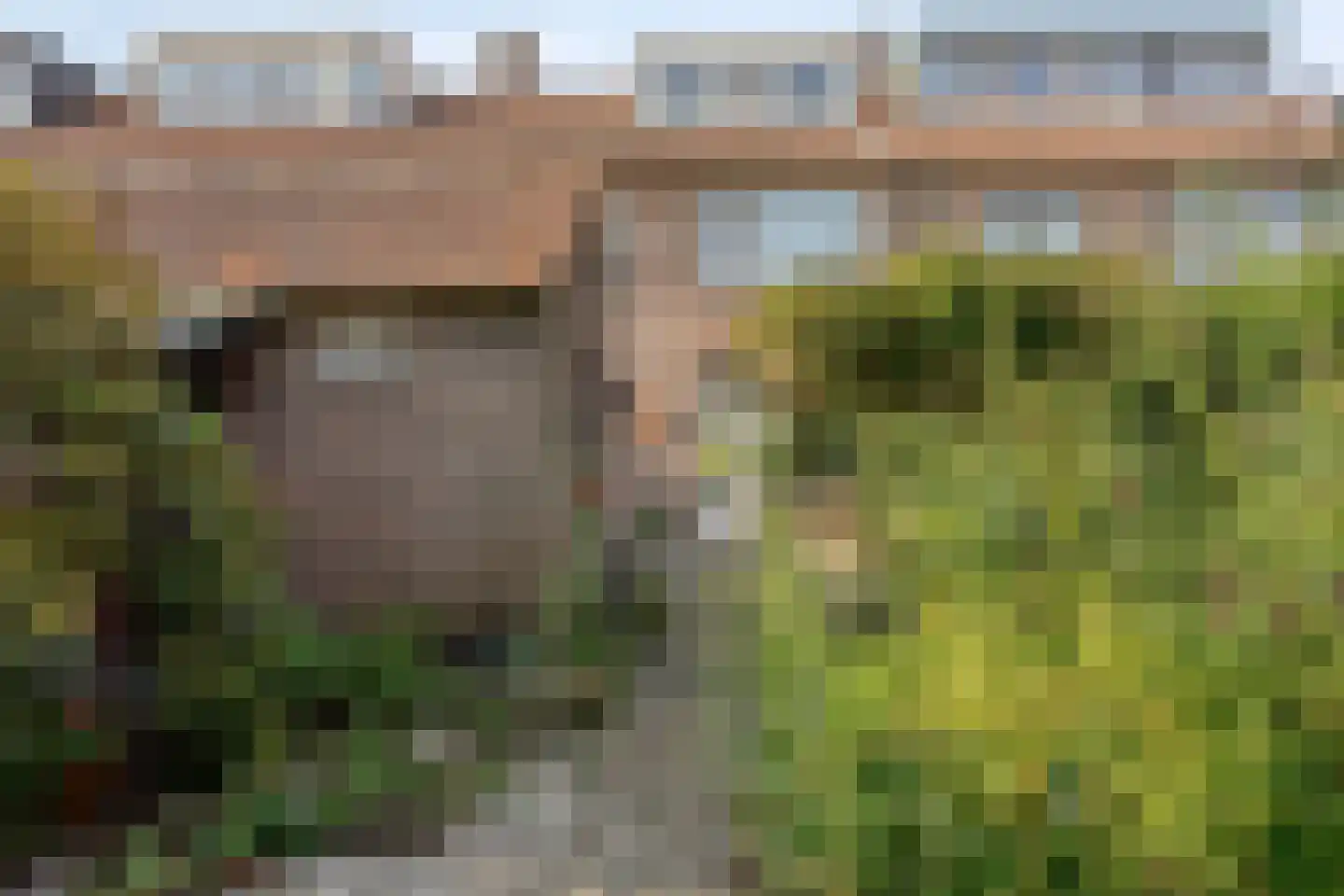 Ingenhouszstraat 12 Nijmegen thumbnail 27