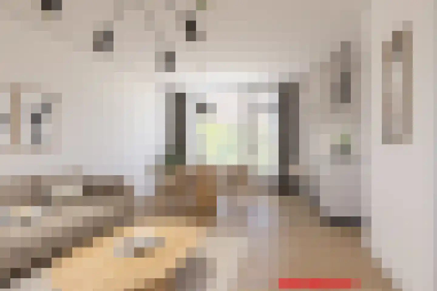 Ingenhouszstraat 12 Nijmegen thumbnail 4