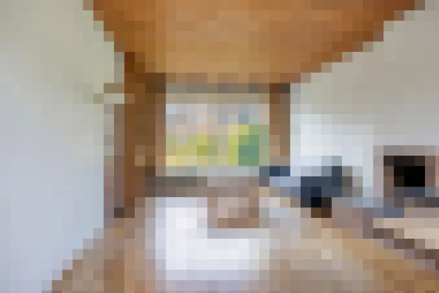 Ingenhouszstraat 12 Nijmegen thumbnail 5