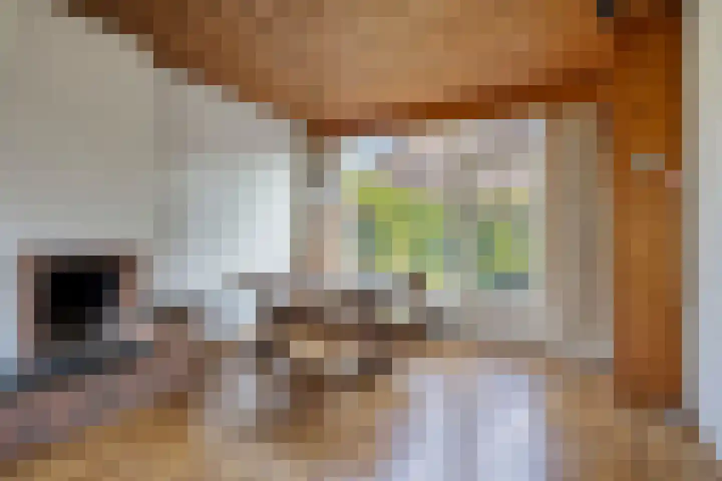 Ingenhouszstraat 12 Nijmegen thumbnail 6