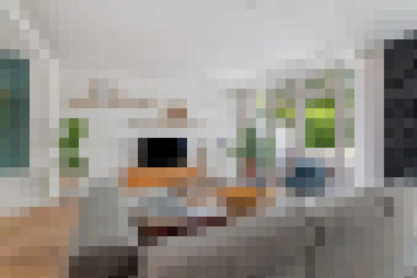 Ingenhouszstraat 24 Nijmegen thumbnail 12