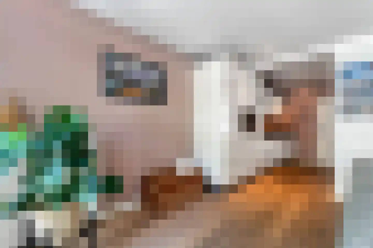 Ingenhouszstraat 24 Nijmegen thumbnail 19