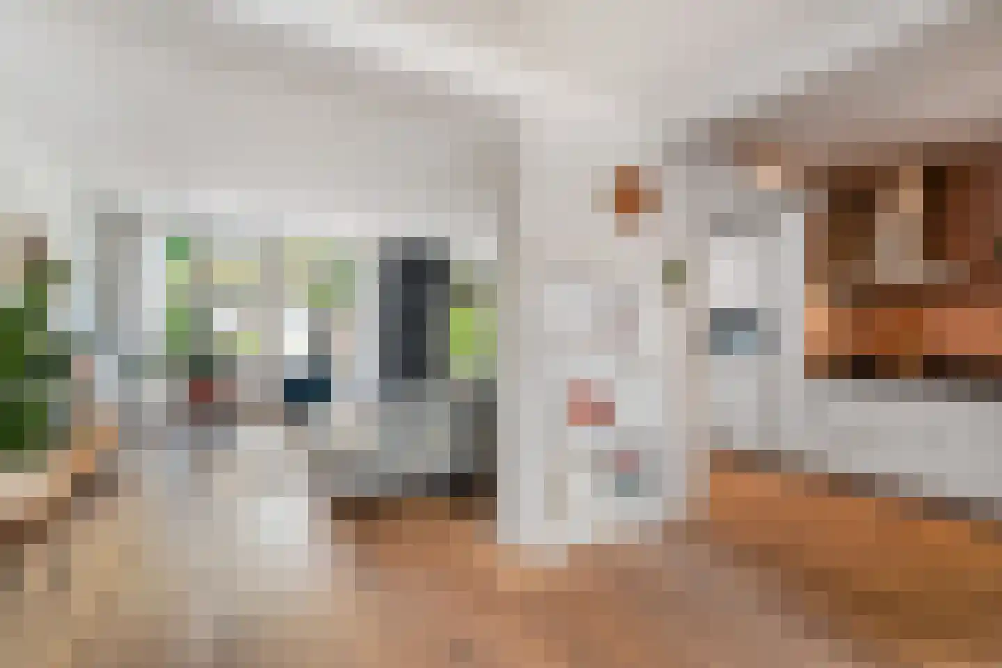 Ingenhouszstraat 24 Nijmegen thumbnail 26
