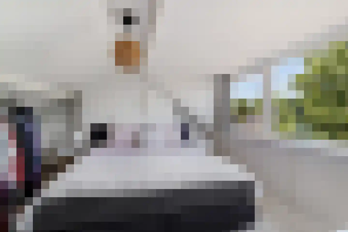 Ingenhouszstraat 24 Nijmegen thumbnail 41