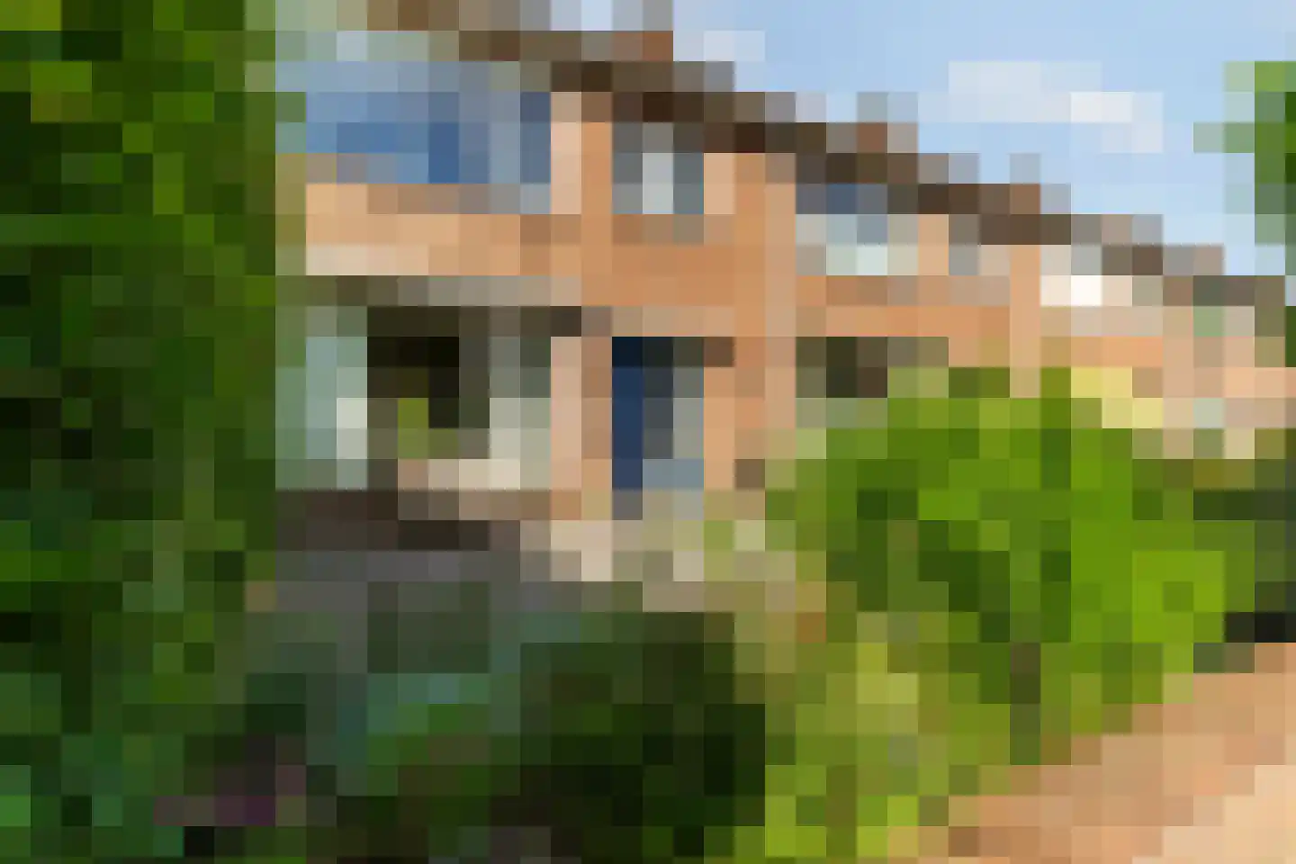 Ingenhouszstraat 24 Nijmegen thumbnail 5