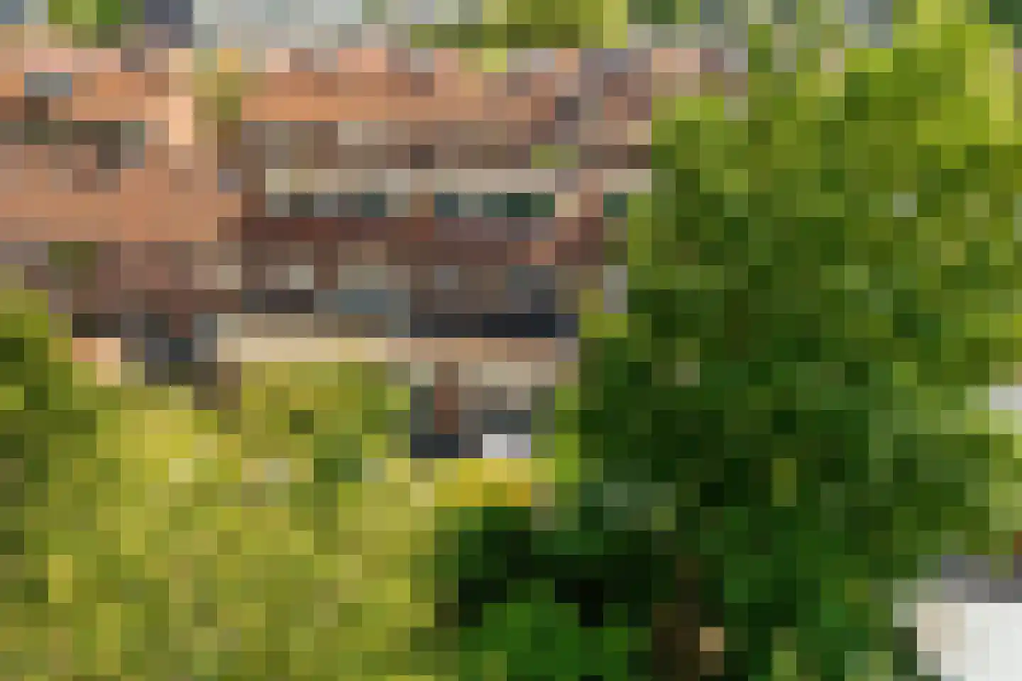 Ingenhouszstraat 24 Nijmegen thumbnail 66