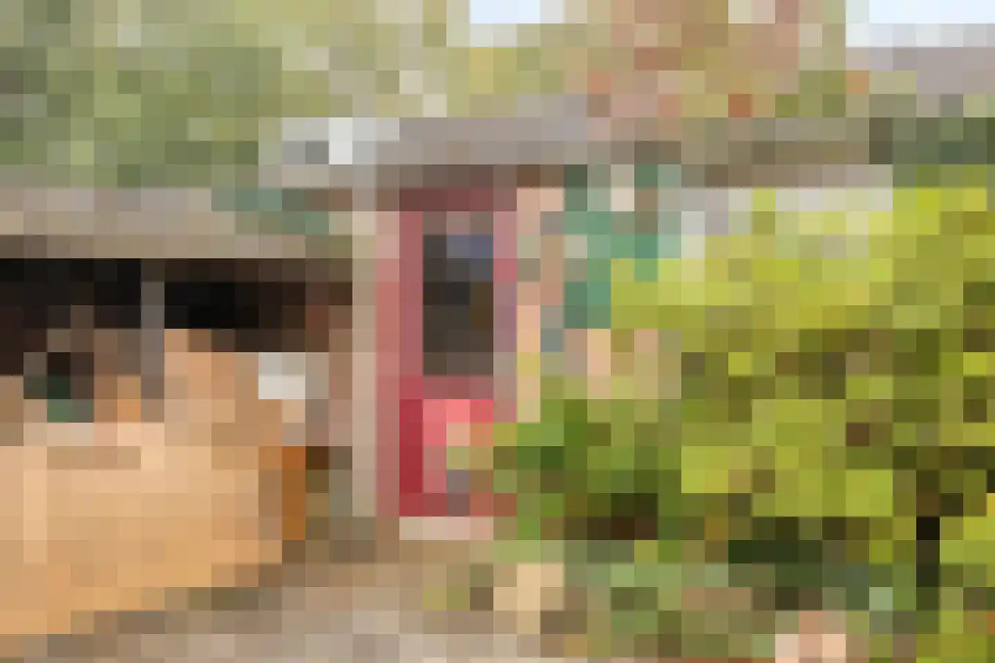 Ingenhovenlaan 58 Tilburg thumbnail 47