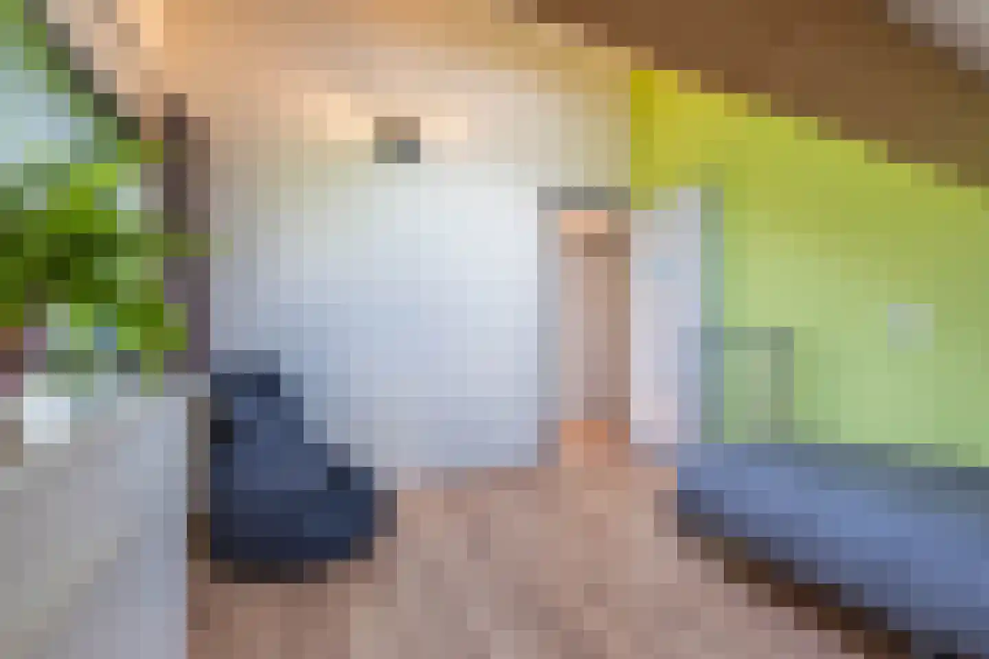 Ingenieur van Stuivenbergweg 17 Ewijk thumbnail 36