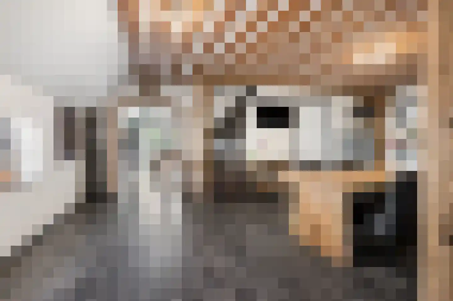 Ingenieur van Stuivenbergweg 36 Winssen thumbnail 5