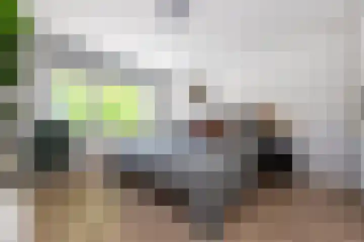 Ingenieurslaan 10 Tilburg thumbnail 37