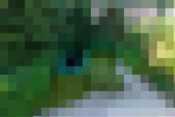 Ingenieurslaan 10 Tilburg thumbnail 45